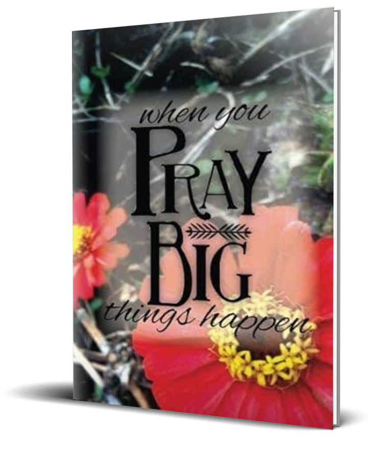 When You Pray Big Things Happen Journal