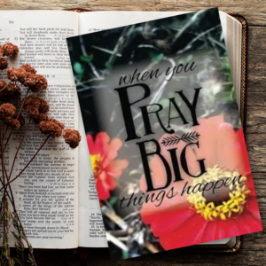 Pray Big Journal by Karmen Smith